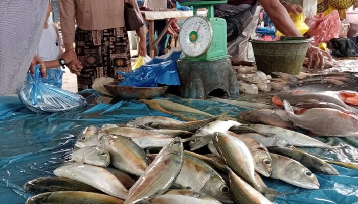 Laut Tak Kondusif, Harga Ikan Gembung Melambung