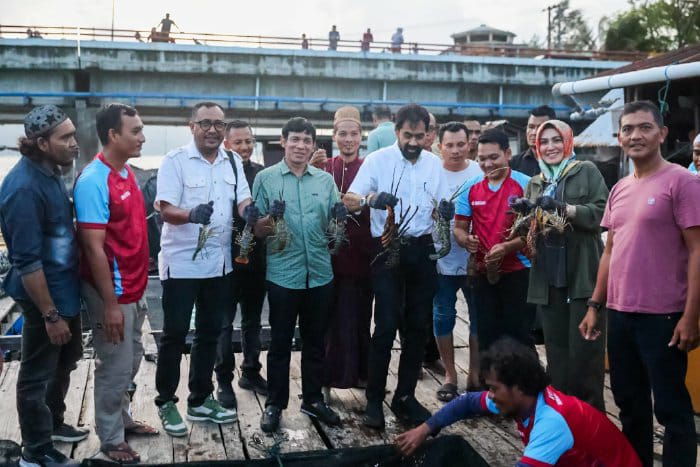 Mualem Panen Lobster Di Keramba Nelayan Ulee Lheue