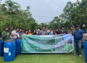 INALUM Latih Petani Toba Dengan Metode Tani Nusantara