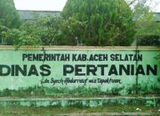 Bupati H. Mirwan Diminta Copot Kadis Pertanian