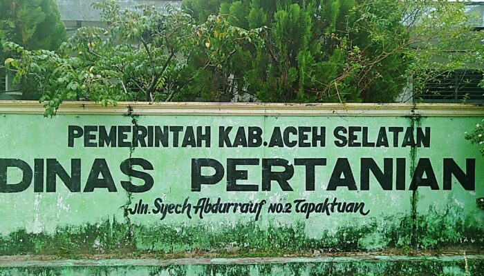 Bupati H. Mirwan Diminta Copot Kadis Pertanian