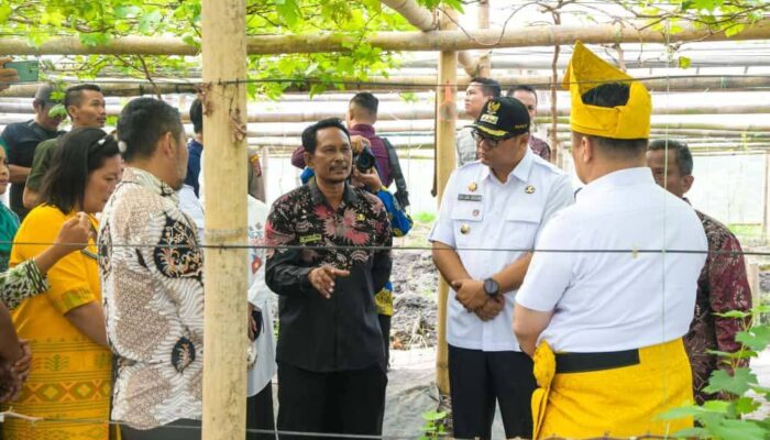 Wamendes PDTT: Jadikan BUMDes Kebun Anggur Karang Anyar Pilot Project Pertanian Modern