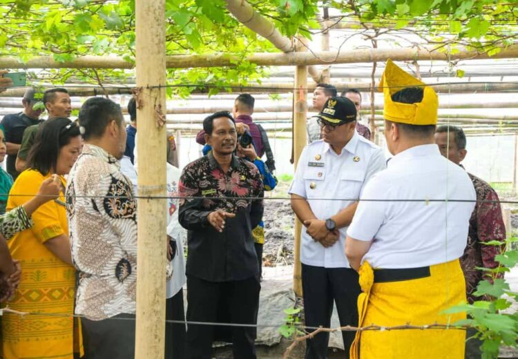 Wamendes PDTT: Jadikan BUMDes Kebun Anggur Karang Anyar Pilot Project Pertanian Modern