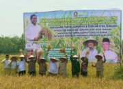 DPRK Aceh Tamiang Tetap Berkomitmen Membantu Petani