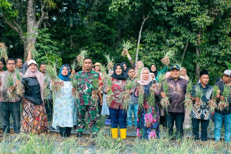 Wabup Madina Ajak Masyarakat Manfaatkan Pekarangan Untuk Tanam Sayur