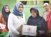 Serahkan Bantuan Korban Kebakaran, Wabup Madina Imbau Hal Ini