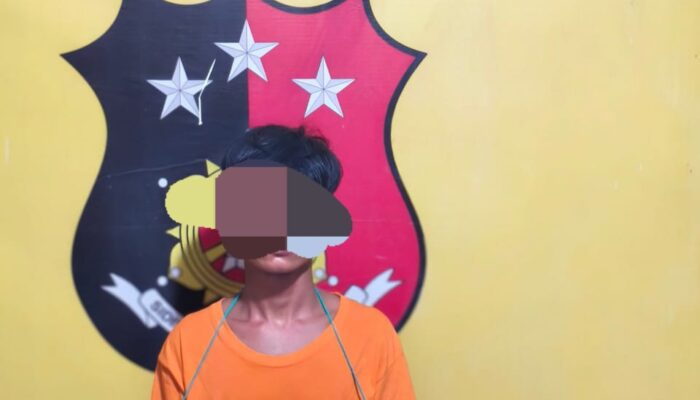 Polsek Panai Hilir Ringkus Pengedar Sabu Di Sei Berombang