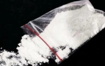 Dua Warga Mondan Ditangkap Polres Madina atas Kepemilikan Narkoba