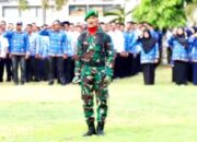 Danramil Kembang Tanjong Komandan Upacara Hari Pahlawan Di Pidie