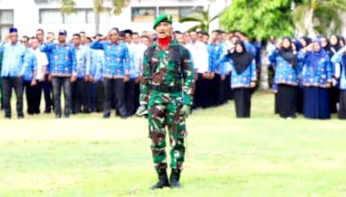 Danramil Kembang Tanjong Komandan Upacara Hari Pahlawan Di Pidie