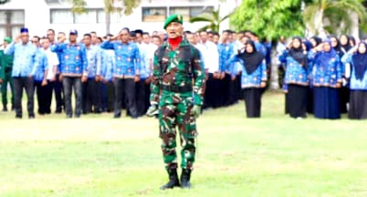 Danramil Kembang Tanjong Komandan Upacara Hari Pahlawan Di Pidie