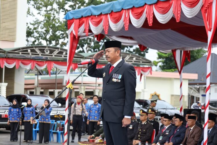 Bupati Madina Ajak Bersyukur Dan Berjanji Tidak Sia-siakan Perjuangan Pahlawan