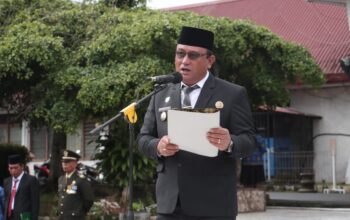 Wakil Bupati Dairi Pimpin Upacara Hari Pahlawan Nasional