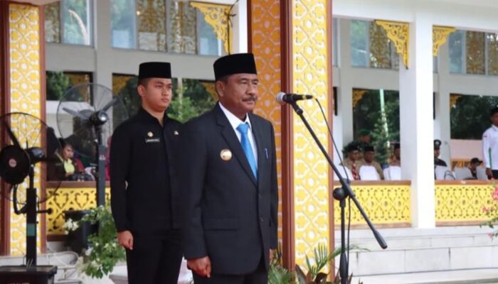 Pemko Binjai Peringati Hari Pahlawan 2025, Kobarkan Semangat Melanjutkan Perjuangan