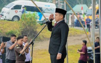 Wabup Sergai Ajak Teladani Semangat Pahlawan