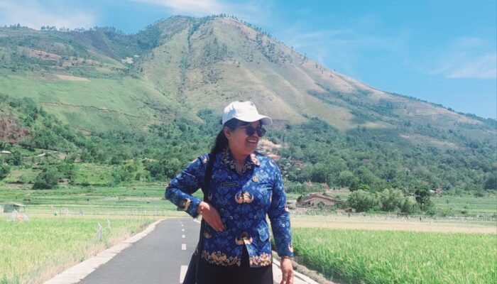 Disbudpar Samosir Pastikan Pemborong Wajib Perbaiki Kerusakan