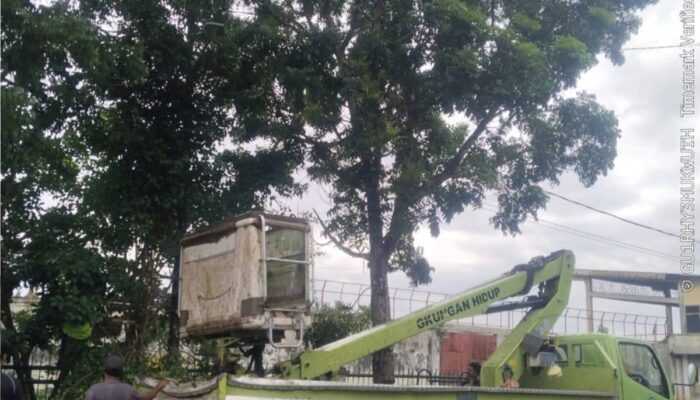 DLH Binjai Respons Cepat Aduan Warga