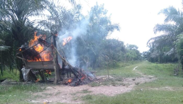 Region Head PTPN IV: Pembakaran Kantor Dan Pos Di Cot Girek Bentuk Intimidasi Pekerja