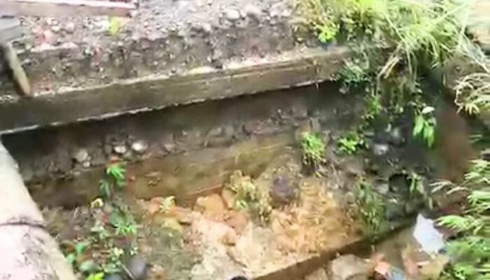 Warga Geumpang Jatuh Ke Sungai, Desakan Bangun Jembatan Bailey Mengemuka