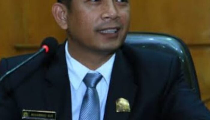 DPRK Aceh Tamiang Mendukung Petani Nilam