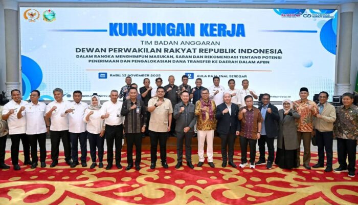 Wakil Bupati Berharap Bantuan Anggaran Dari Pusat Banyak Dikucurkan Ke Madina