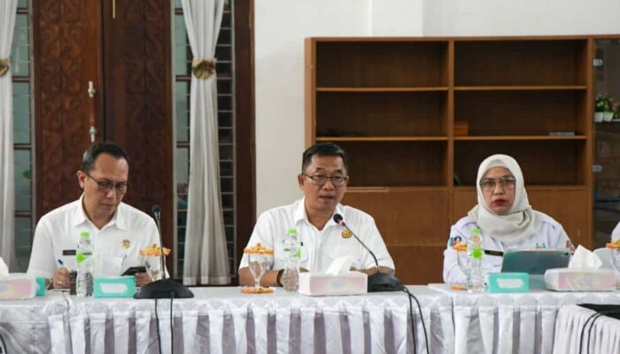 Pemkab Deliserdang Berkomitmen Penuhi Hak Anak Berkebutuhan Khusus