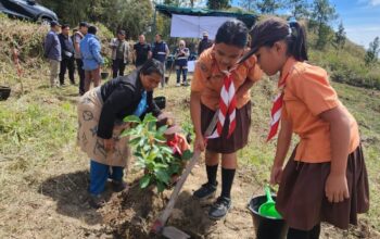 INALUM Tanam 600 Pohon, Tanda Dimulainya Penghijauan 500 Hektare Di DTA Danau Toba