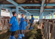Bupati Aceh Besar Kunjungi Balai Embrio Ternak Cipelang, Siap Kembangkan Peternakan
