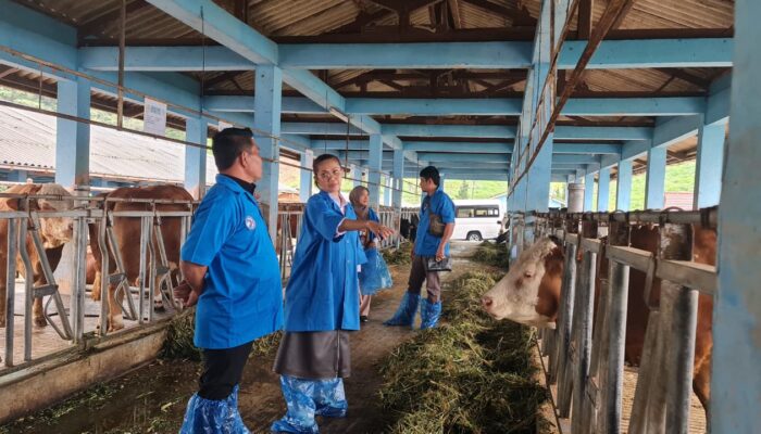 Bupati Aceh Besar Kunjungi Balai Embrio Ternak Cipelang, Siap Kembangkan Peternakan