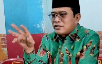 Harga Tiket Pesawat Mahal, Penrad Siagian Minta Pemerintah Subsidi