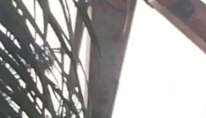 Galian C Diduga Ilegal Di Desa Perjuangan