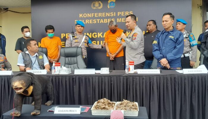 Polrestabes Medan Bongkar Penjualan Satwa Langka Di Market Place