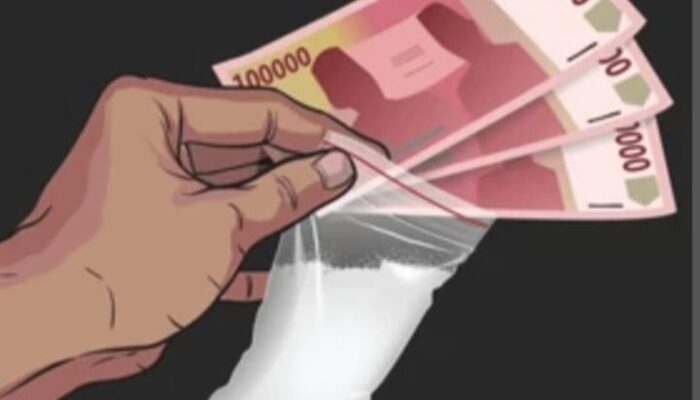 Satres Narkoba Polres Madina Tangkap Warga Hutabargot Pemilik Sabu