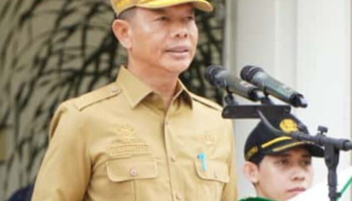 Sebagai Bentuk Apresiasi, Upacara HKN Ke-61 Di Langkat Diwarnai Pemberian Sejumlah Piagam Penghargaan