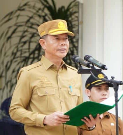 Sebagai Bentuk Apresiasi, Upacara HKN Ke-61 Di Langkat Diwarnai Pemberian Sejumlah Piagam Penghargaan