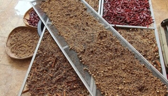 Transformasi Teknologi Dan Inovasi: Hilirisasi Bumbu Kering Aceh Dorong Ekonomi Lele Di Blang Nibong