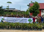 Pemuda Dan Warga Desa Merbau Dua, Birem Bayuen Tanam Ratusan Pohon Matoa