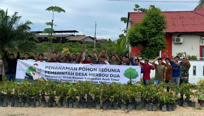 Pemuda Dan Warga Desa Merbau Dua, Birem Bayuen Tanam Ratusan Pohon Matoa
