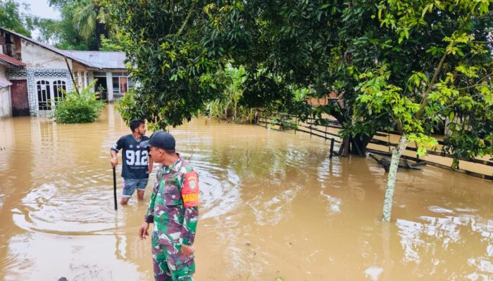 Sungai Arakundo Meluap, Empat Gampong Di Kecamatan Julok Terendam Banjir