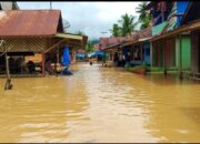 Banjir Landa Sulangaling, Mahasiswa Desak Bupati Madina Tinjau Langsung Lokasi