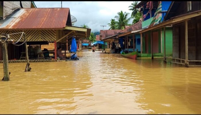 Banjir Landa Sulangaling, Mahasiswa Desak Bupati Madina Tinjau Langsung Lokasi