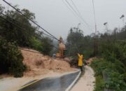 Alami Cuaca Ekstrem Di Tapteng Dan Sibolga, PLN Gerak Cepat Amankan Jaringan Kelistrikan