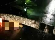 Petugas PLN Meninggal Tertimpa Pohon Kelapa Saat Bertugas