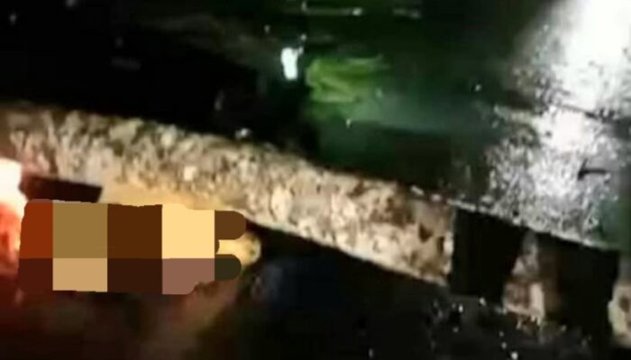 Petugas PLN Meninggal Tertimpa Pohon Kelapa Saat Bertugas