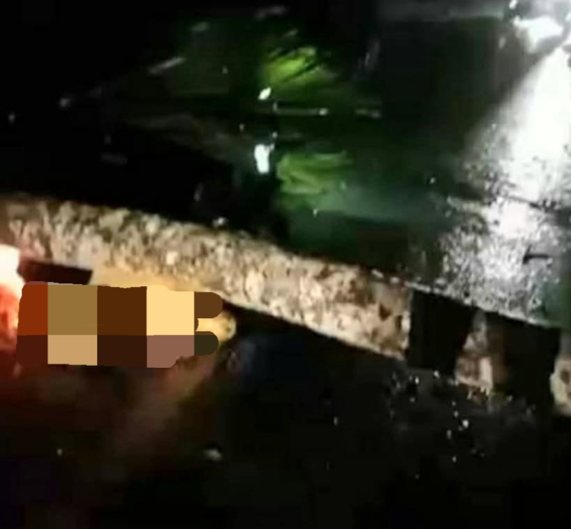 Petugas PLN Meninggal Tertimpa Pohon Kelapa Saat Bertugas