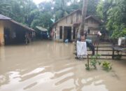 Banjir Di 8 Kecamatan Di Aceh Utara Akibat Gaya Hidup Masyarakat Yang Belum Sadar Lingkungan
