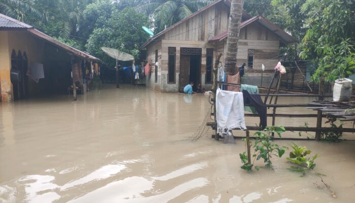 Banjir Di 8 Kecamatan Di Aceh Utara Akibat Gaya Hidup Masyarakat Yang Belum Sadar Lingkungan