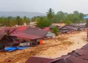 8 Tewas Akibat Bencana Di Tapsel