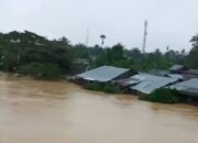 Bupati Aceh Tamiang Berlakukan WFA Terkait Status Siaga Bencana