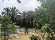 Lae Kombih Meluap, Sejumlah Rumah Guru Ponpes Ad Darajat Digenangi Air